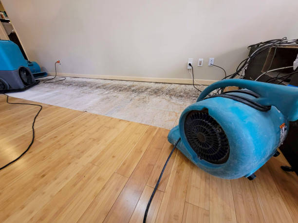 Professional Water Extraction technician working in Pine Bluffs, WY